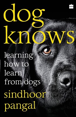 Dog Knows: Learning How to Learn from Dogs Paperback ||| new book ||| free ship