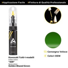 Vernice di ritocco per Kawasaki Tutti i modelli Cod: 40R Golden Blazed Green