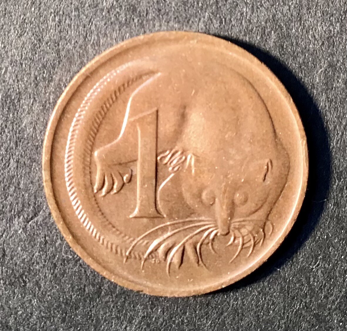 1969 1 Cent Coin Australian Decimal 1 X Coin Ungraded | eBay Australia