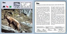 Ibex - Mammals - 1970's Rencontre Safari Wildlife Card