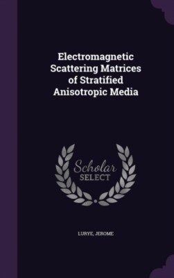 Lurye - Electromagnetic Scattering Matrices of Stratified Anisotropic  - X555z