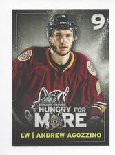 2016-17 Chicago Wolves (AHL) Andrew Agozzino 