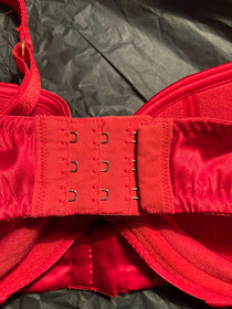 Agent Provocateur Jena Red Satin Bra 34E Pre-loved Good condition