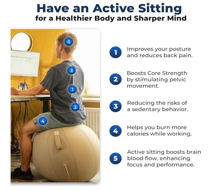 NUEVO EN CAJA Silla de Pelota Sentada Backerz Equilibrio Postura Yoga Ejercicio Gris Foto 2 de 4