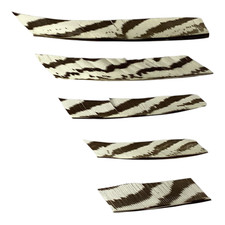 12pk Silver Pheasant Feather Fletches  Low-Pr...