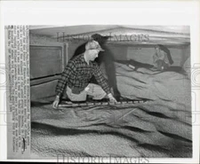 1964 Press Photo Willard Fox tests durum wheat in Minneapolis box car