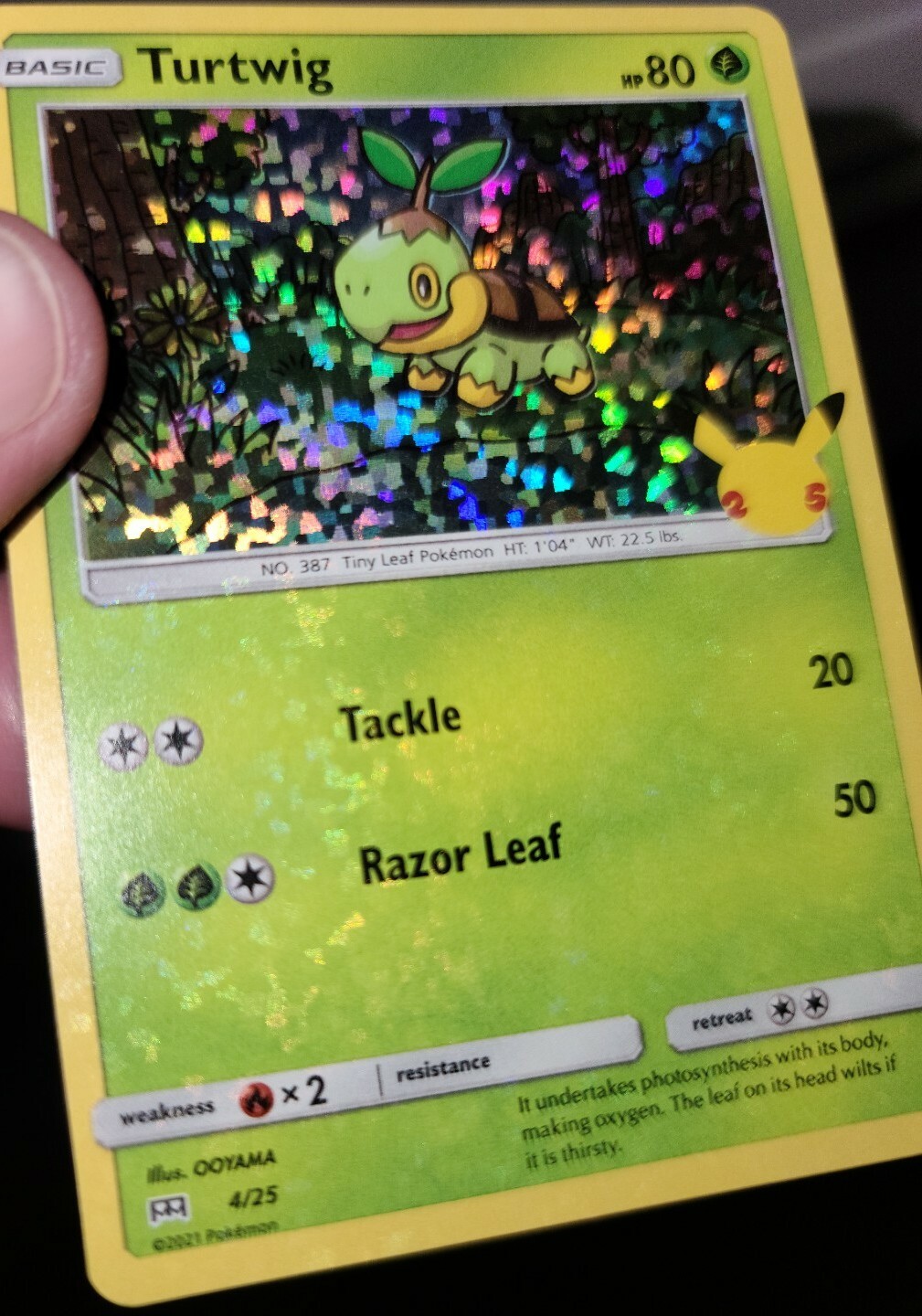 Pokemon TURTWIG HOLO BLEED 4/25 McDonalds 25th Anniversary 2021 Promo Error  Card | eBay