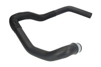 Thermotec KüHlerschlauch FüR Fiat Scudo Kasten 220_ 220L 220P 220 CitroëN Jumpy