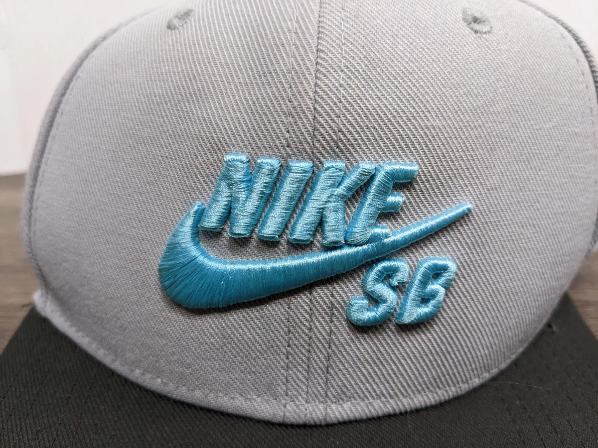 Nike SB Skateboarding Hat Snapback Ball Cap Gray Blue Black