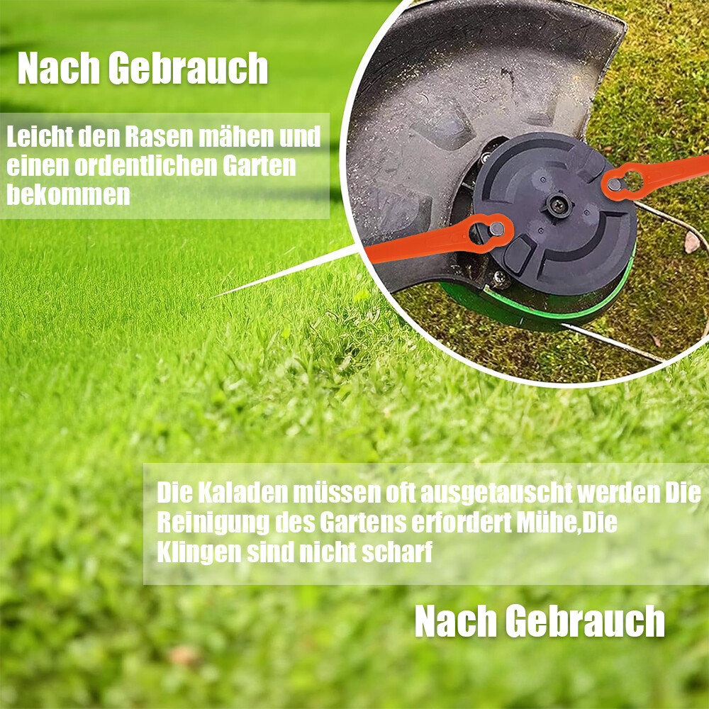 Bild 7 von 38