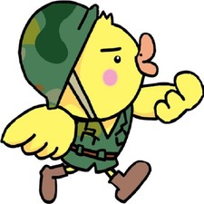 30 Custom Military Soldier Chick Personalized Address Labels