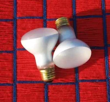 2 new 12V swimming pool 100w LIGHT BULB 12 volt 100 watt R20 flood 100R20 frost