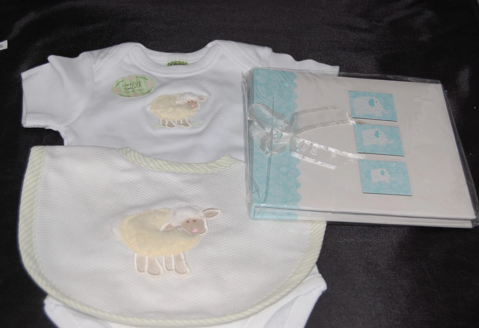 baby bib, shirt and baby steps book