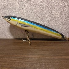 Carpenter Illusion 120