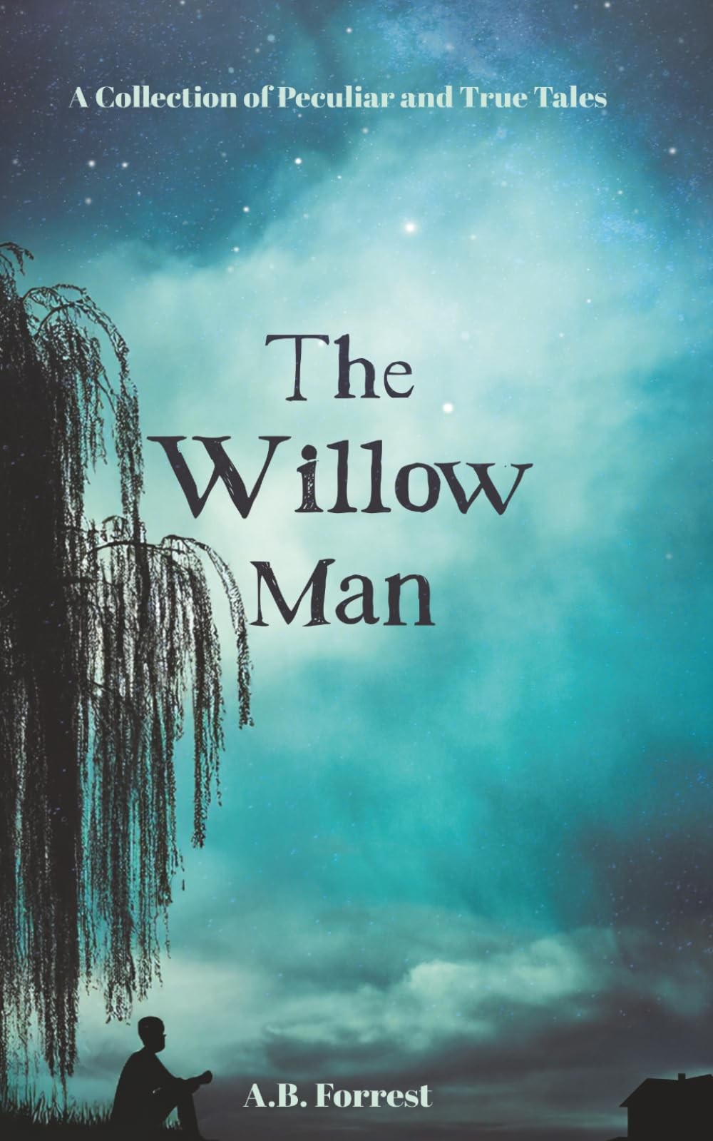 Independently Published The Willow Man: A Collection Of Peculiar And True Tales - Image 2
