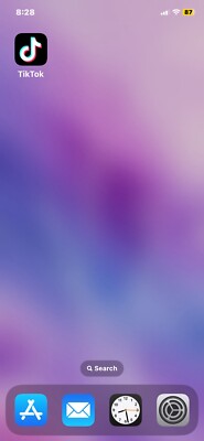 iPhone 11 Great Conditions brand New Battery purple 