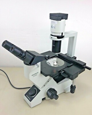 Olympus CK40-F100 Inverted Microscope