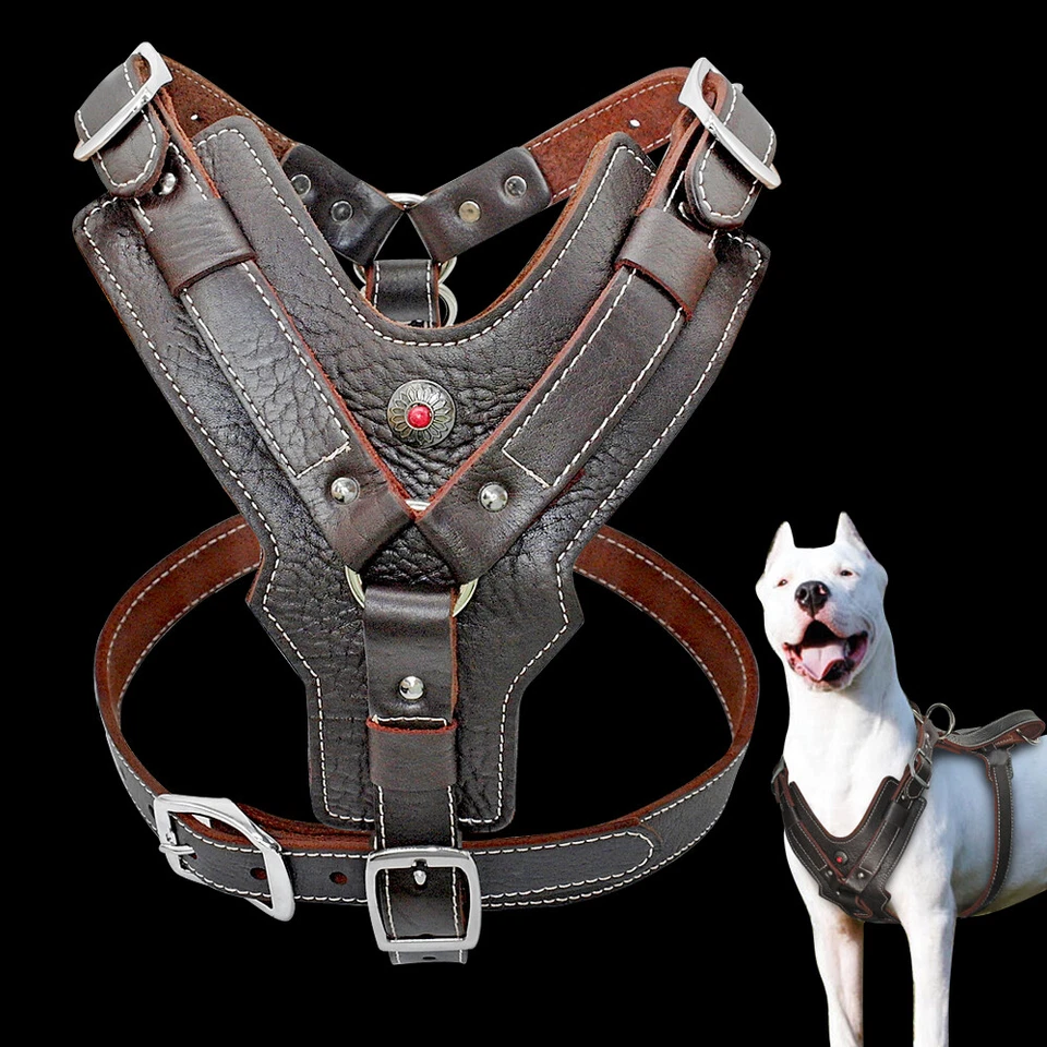 Harnais de travail en cuir Moyen Grand Gros Chien Gilet Réglable XL XXL XXXL - Photo 1/4