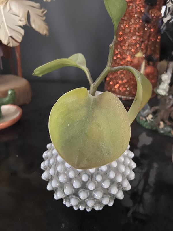 Vintage White Opalescent Hobnail Bottle Bud Vase Candle Holder MCM 5 in