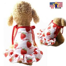 Strawberry Fruit Dog Cat Dress Up Pet Costume Cosplay Summer Outfit - Large