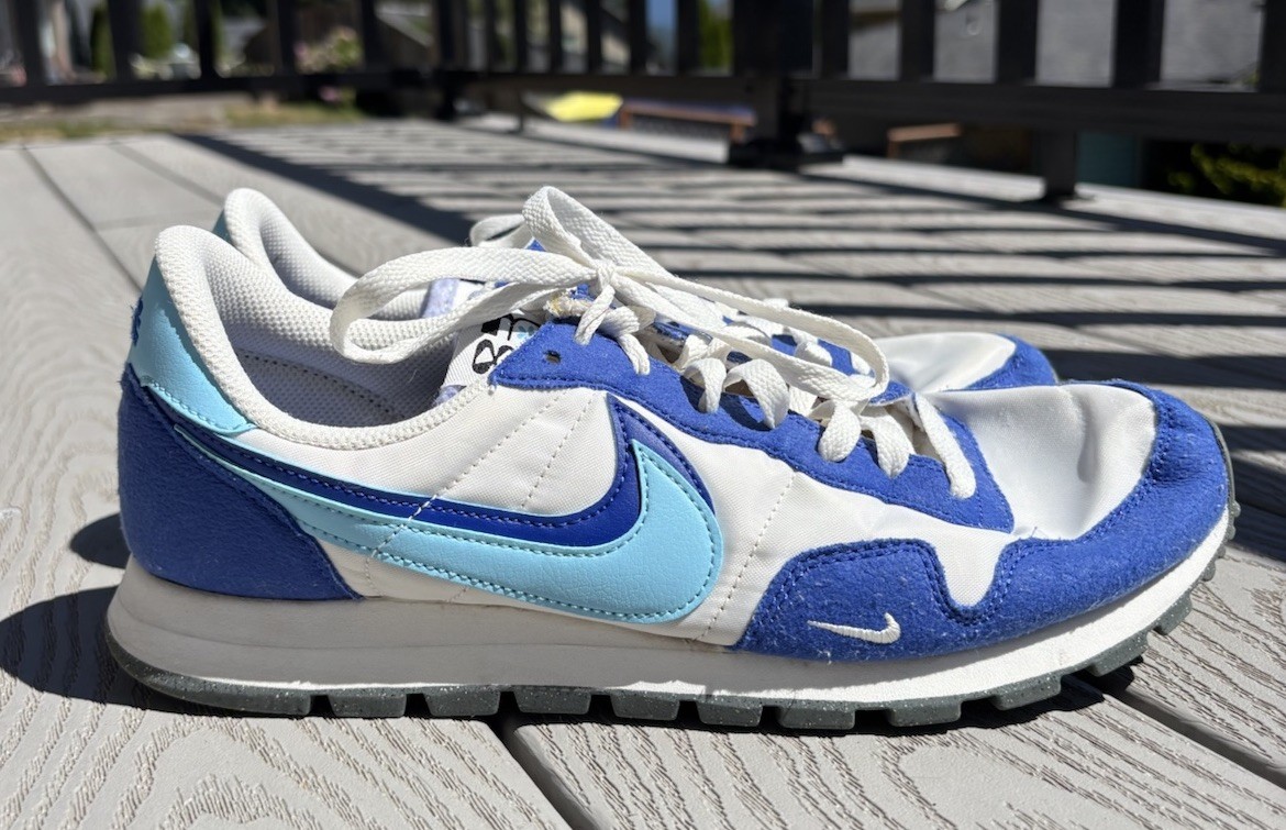 old nike air pegasus