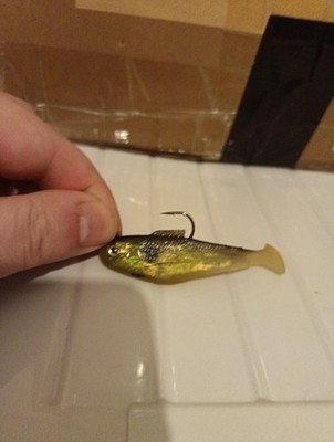 Berkley Powerbait Extra Scent Bio-Salz Angelköder scharfer Haken 