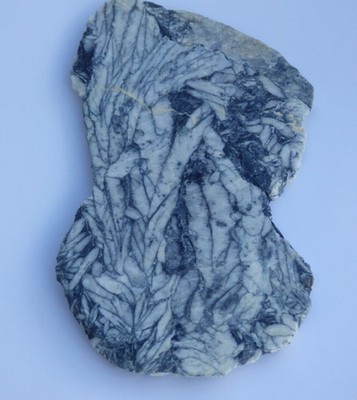 Pinolith schwarz weiß Kristall Zierstein Marmor Österreich 15 x 8, cm + Ständer