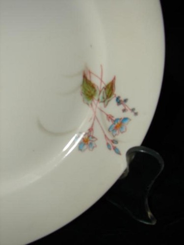 Antiguo plato de ensalada blanco fino hecho en 1894 Deliniers and Company Limoges - Imagen 3 de 4
