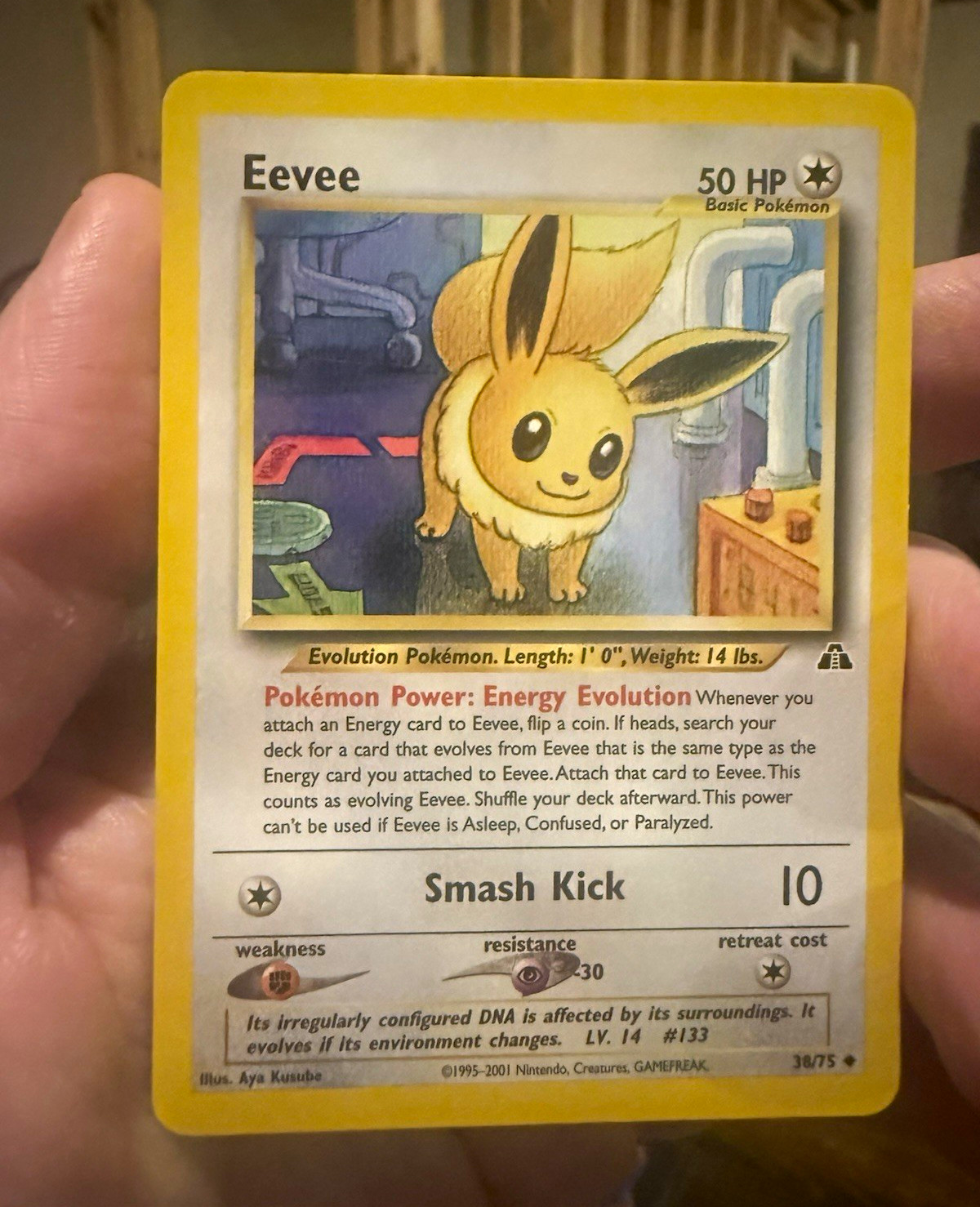 WOTC Eevee Neo Discovery 38/75 Uncommon Regular Unlimited English 2001 50 HP