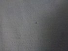 Foto 10 di 14