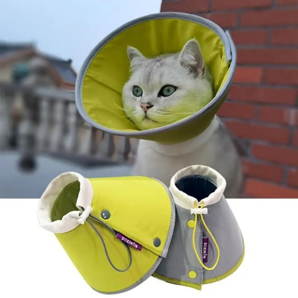 Elizabethan Collar Can A Cat Wear A Dog Collar Kitten Soft Cone