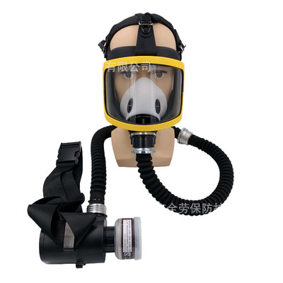 Portable Full Face Gas Mask Flow Respirator Electric Supplied Air Fed Flow