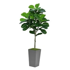 Fiddle Leaf Fig Tree Artificial 5FT - Faux Fiddle Leaf Fig Tree with Tall Gray