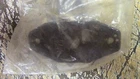SEADOO LATCH COVER 269700020 269700109 NEW OLD STOCK
