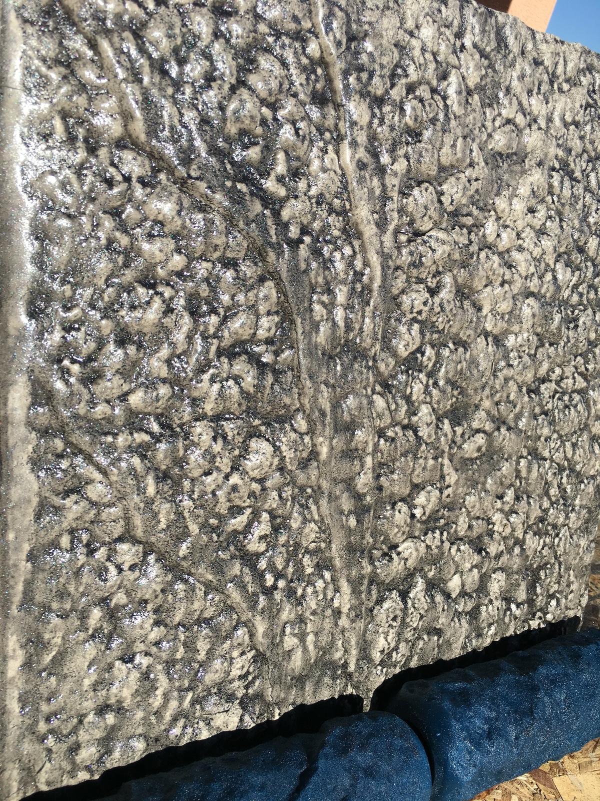 Picture 5 of 5
