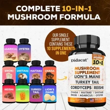 Mushroom 10 In 1 Supplement - Supports Energy Levels Promotes Clarity & Focus