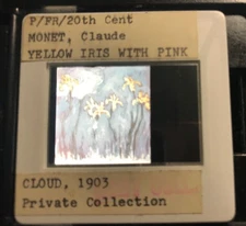 Claude Monet "Yellow Iris W Pink Cloud" 35mm French Impressionist Art Slide