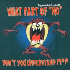 Vtg 90s Taz What Part Of No Dont You Understand T-Shirt Looney Tunes Logo Tee XL