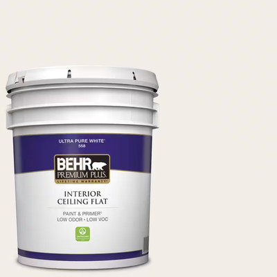 5 Gal. #RD-W10 New House White Ceiling Flat Interior Paint & Primer