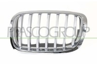 KüHlergrill KüHlergitter Titan Chrom FüR BMW X6 E71 E72