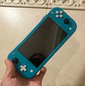 Blue Switch Lite | eBay