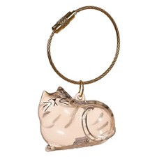 Pet Hair Storage Box Transparent Keepsake Container for Cat Fur DIY5342