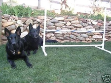 Dog Agility Single Bar Jump