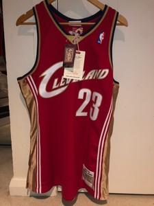 mitchell and ness lebron james