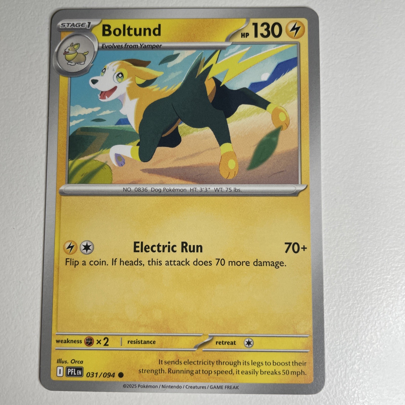 Boltund 031/094 Common ME02: Phantasmal Flames NM Pokemon Regular