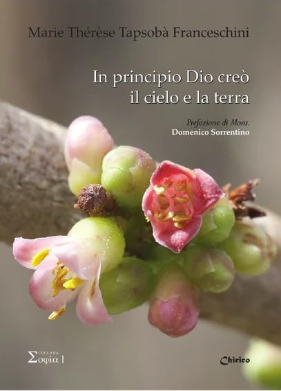 Доменико Соррентино Мария Тереза в романе Принцип бога творения (мягкая обложка) (ИМПОРТ из Великобритании)