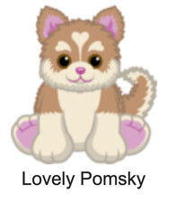 Webkinz Classic Lovely Pomsky Valentine's Day Dog Code Only - Virtual Pet Kinz