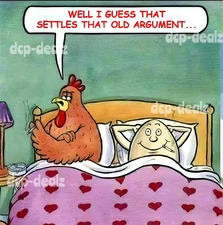 F252  FUNNY EGG OR CHICKEN MEME Fridge Magnet Decal Poster Metal Sign