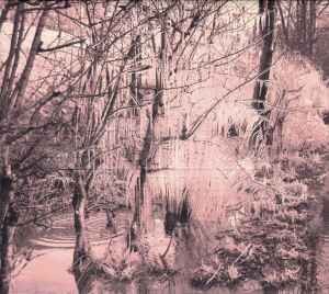 Esben And The Witch - Violet Cries, (CD)