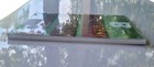 Bild 14 von 20